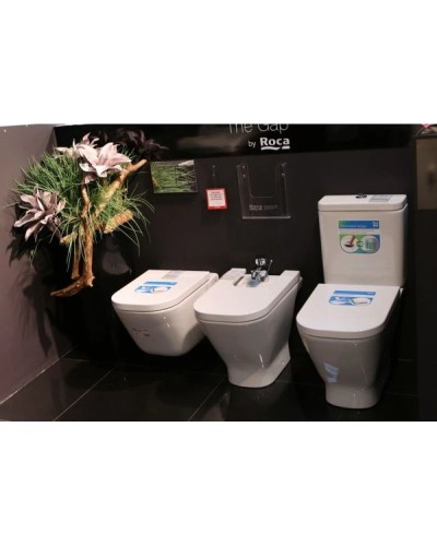 Комплект подвесной унитаз Roca The Gap 346477000 + 801472004 + система инсталляции Villeroy & Boch 92246100 + 92249061