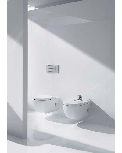 Комплект унитаза Roca Meridian N 346247000+8012A200B с инсталляцией Geberit Duofix Plattenbau Delta UP100 458.125.21.1 с сиденьем Микролифт и клавишей смыва Хром