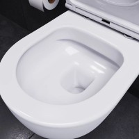 Комплект подвесной унитаз Damixa Sirius DX86C1700SC + система инсталляции Tece 9400412