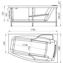 Акриловая ванна 170х100 см левая Radomir Аризона 1-01-0-1-1-018