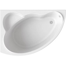 Акриловая ванна Bas Лагуна 170x110 L В 00019 без гидромассажа