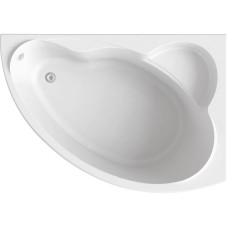 Акриловая ванна Bas Лагуна 170x110 R В 00020 без гидромассажа